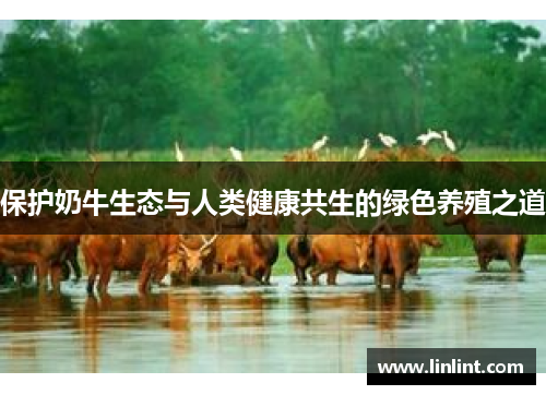 保护奶牛生态与人类健康共生的绿色养殖之道