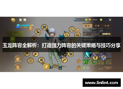 玉龙阵容全解析：打造强力阵容的关键策略与技巧分享
